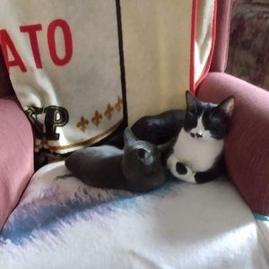 Meet your Posher, Ann